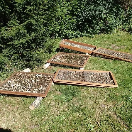 Vendégház Pod Mustky 3*