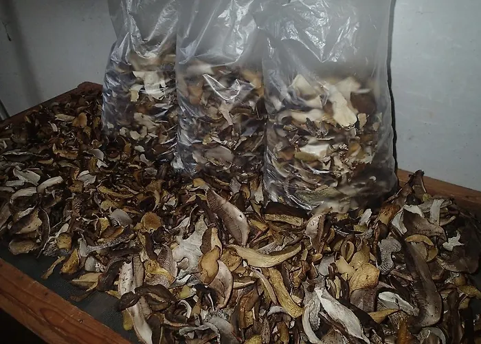 Pod Mustky Gasthof 3*